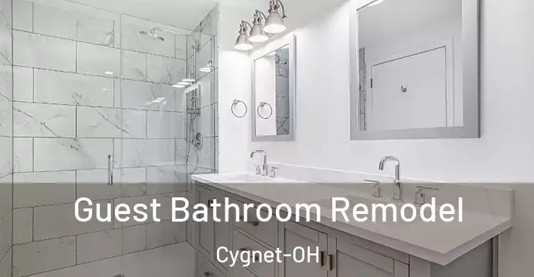 inner Bathroom imggen Guest Bathroom Remodel Cygnet-OH