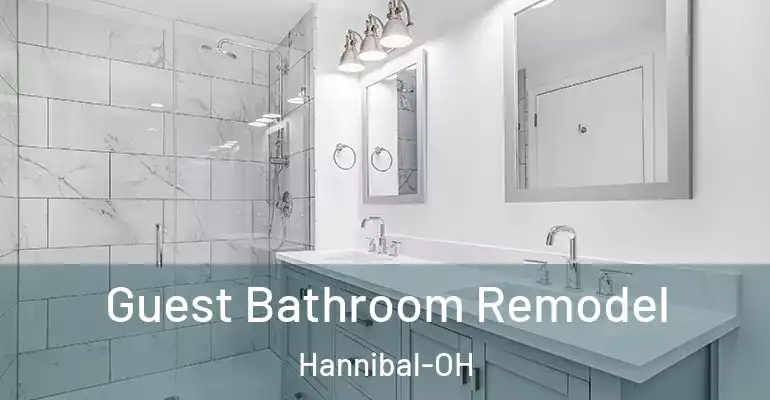 inner Bathroom imggen Guest Bathroom Remodel Hannibal-OH