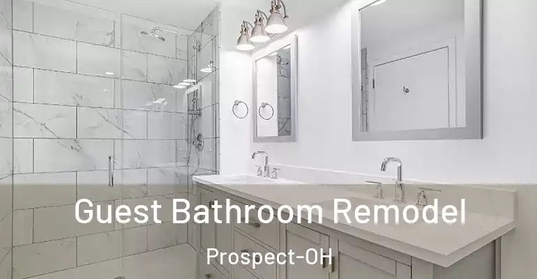 inner Bathroom imggen Guest Bathroom Remodel Prospect-OH
