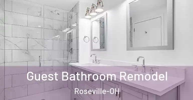 inner Bathroom imggen Guest Bathroom Remodel Roseville-OH