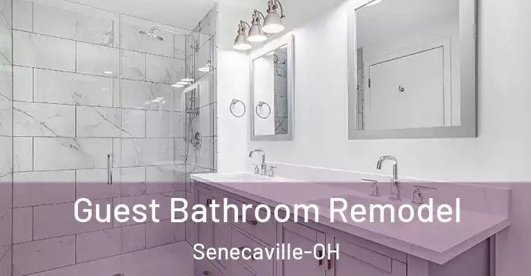 inner Bathroom imggen Guest Bathroom Remodel Senecaville-OH