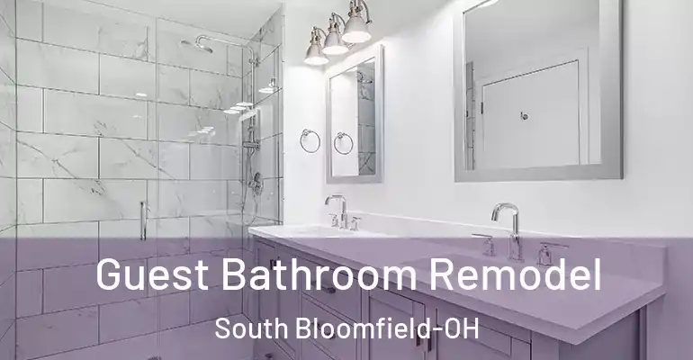 inner Bathroom imggen Guest Bathroom Remodel South Bloomfield-OH