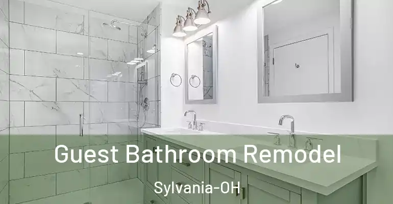 inner Bathroom imggen Guest Bathroom Remodel Sylvania-OH