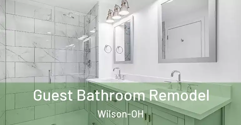 inner Bathroom imggen Guest Bathroom Remodel Wilson-OH