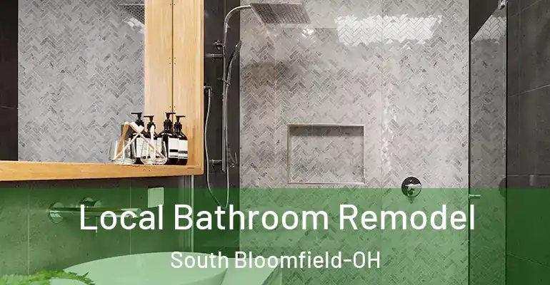 inner Bathroom imggen Local Bathroom Remodel South Bloomfield-OH