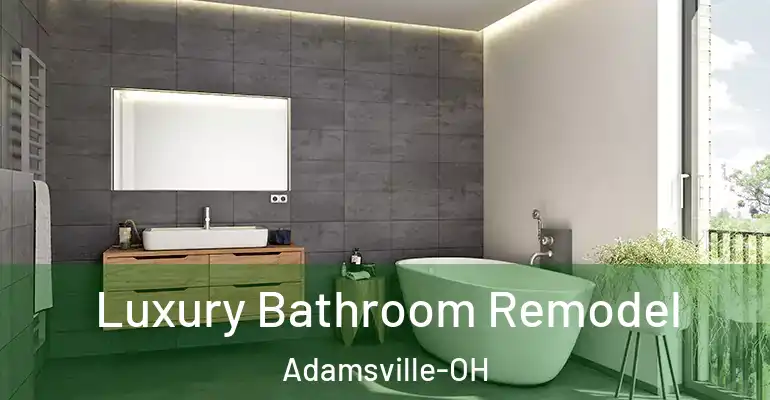inner Bathroom imggen Luxury Bathroom Remodel Adamsville-OH