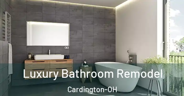 inner Bathroom imggen Luxury Bathroom Remodel Cardington-OH