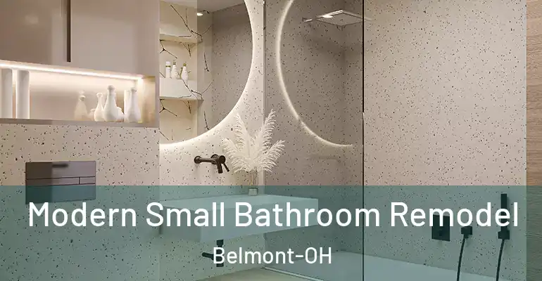 inner Bathroom imggen Modern Small Bathroom Remodel Belmont-OH