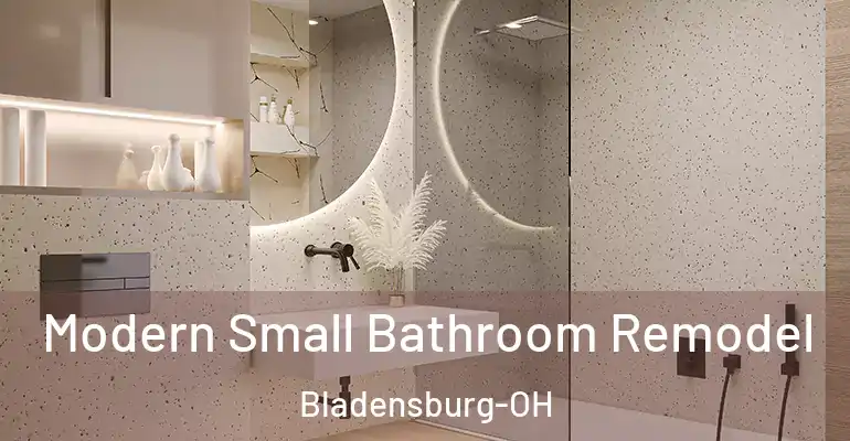 inner Bathroom imggen Modern Small Bathroom Remodel Bladensburg-OH