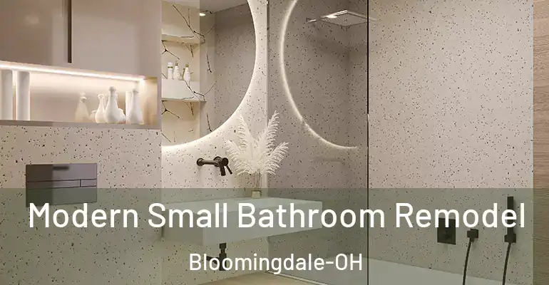 inner Bathroom imggen Modern Small Bathroom Remodel Bloomingdale-OH