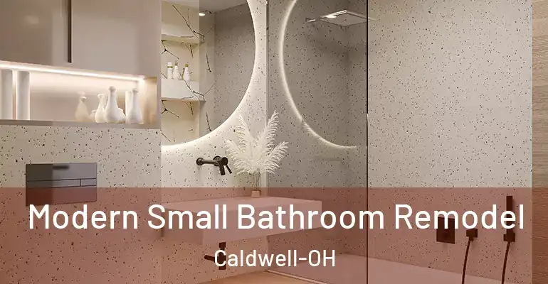 inner Bathroom imggen Modern Small Bathroom Remodel Caldwell-OH