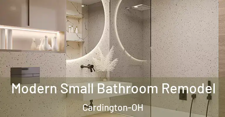 inner Bathroom imggen Modern Small Bathroom Remodel Cardington-OH