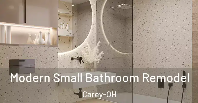 inner Bathroom imggen Modern Small Bathroom Remodel Carey-OH
