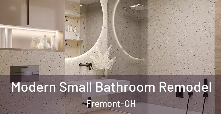 inner Bathroom imggen Modern Small Bathroom Remodel Fremont-OH