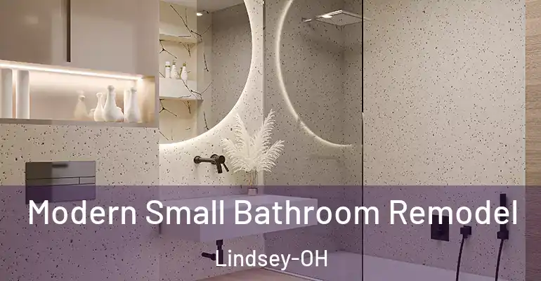 inner Bathroom imggen Modern Small Bathroom Remodel Lindsey-OH