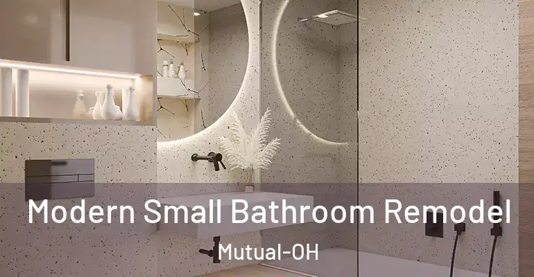inner Bathroom imggen Modern Small Bathroom Remodel Mutual-OH