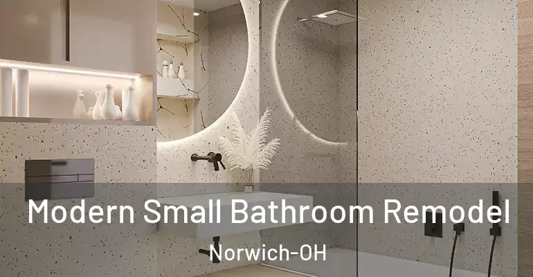 inner Bathroom imggen Modern Small Bathroom Remodel Norwich-OH