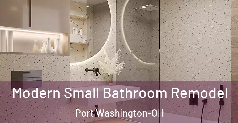 inner Bathroom imggen Modern Small Bathroom Remodel Port Washington-OH