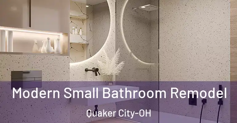 inner Bathroom imggen Modern Small Bathroom Remodel Quaker City-OH