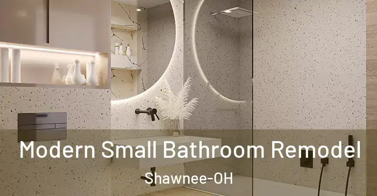 inner Bathroom imggen Modern Small Bathroom Remodel Shawnee-OH
