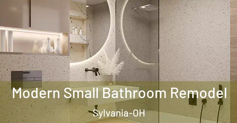 inner Bathroom imggen Modern Small Bathroom Remodel Sylvania-OH