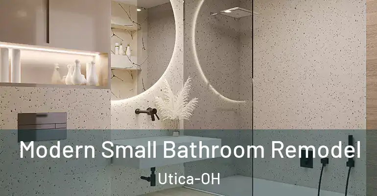 inner Bathroom imggen Modern Small Bathroom Remodel Utica-OH