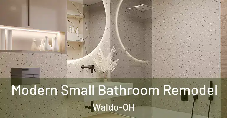inner Bathroom imggen Modern Small Bathroom Remodel Waldo-OH