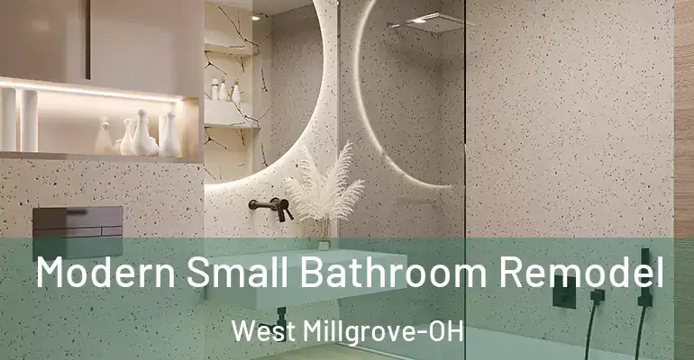 inner Bathroom imggen Modern Small Bathroom Remodel West Millgrove-OH