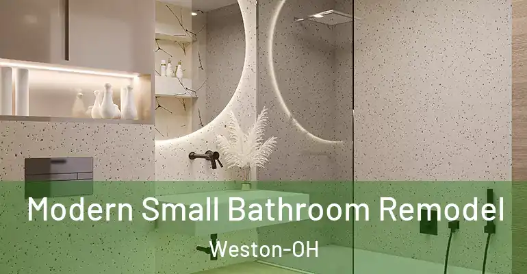 inner Bathroom imggen Modern Small Bathroom Remodel Weston-OH