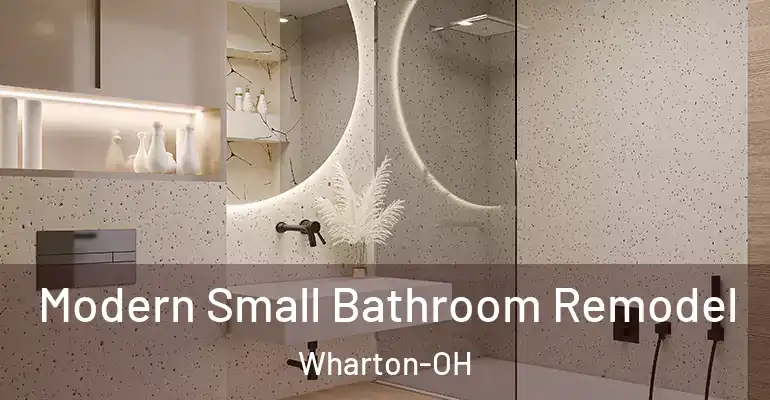 inner Bathroom imggen Modern Small Bathroom Remodel Wharton-OH