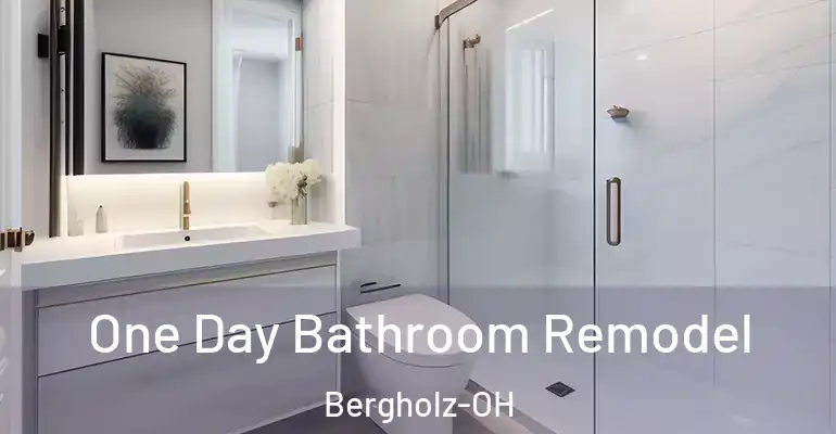 inner Bathroom imggen One Day Bathroom Remodel Bergholz-OH