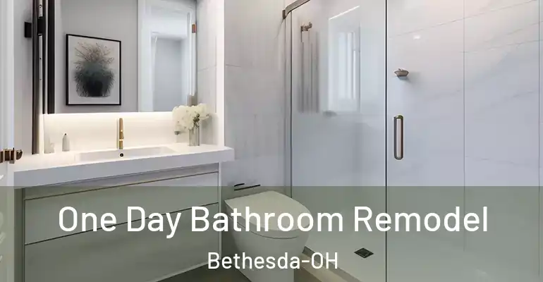 inner Bathroom imggen One Day Bathroom Remodel Bethesda-OH