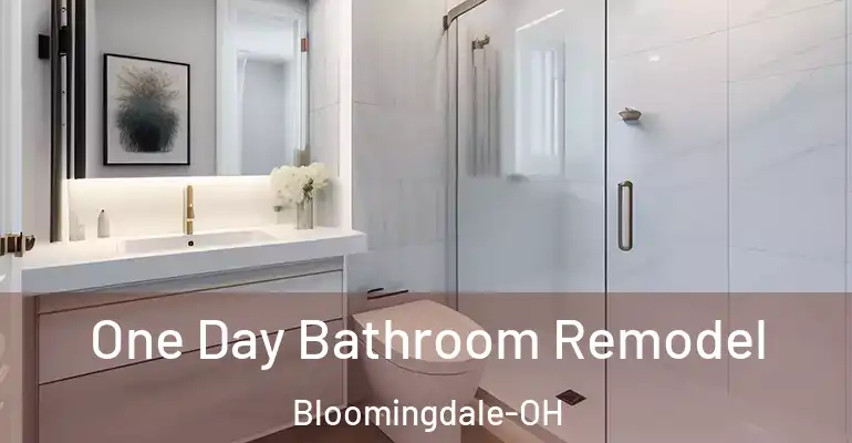 inner Bathroom imggen One Day Bathroom Remodel Bloomingdale-OH