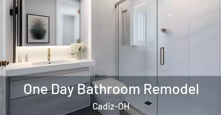 inner Bathroom imggen One Day Bathroom Remodel Cadiz-OH
