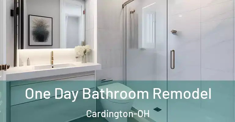 inner Bathroom imggen One Day Bathroom Remodel Cardington-OH