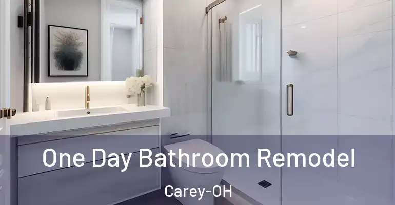 inner Bathroom imggen One Day Bathroom Remodel Carey-OH