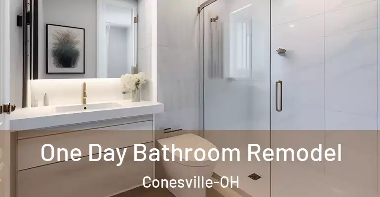 inner Bathroom imggen One Day Bathroom Remodel Conesville-OH