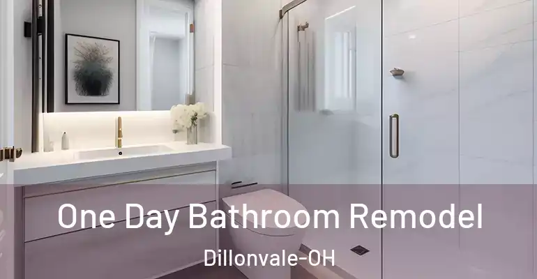 inner Bathroom imggen One Day Bathroom Remodel Dillonvale-OH