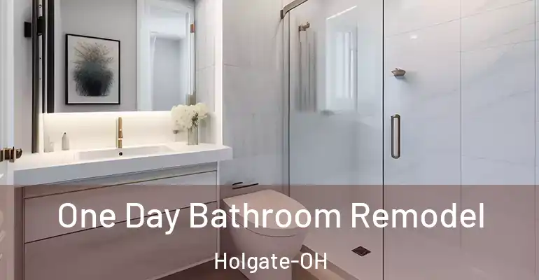 inner Bathroom imggen One Day Bathroom Remodel Holgate-OH