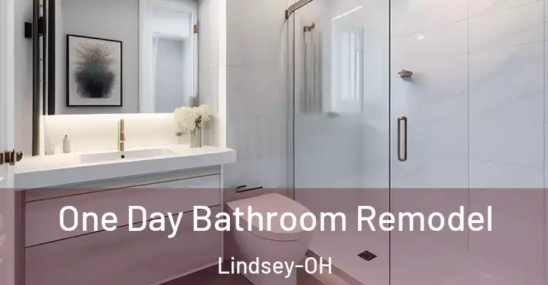 inner Bathroom imggen One Day Bathroom Remodel Lindsey-OH