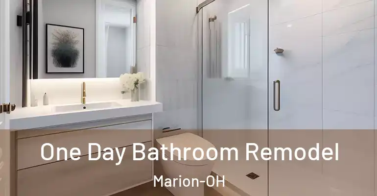 inner Bathroom imggen One Day Bathroom Remodel Marion-OH