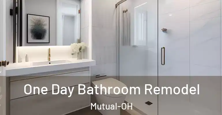 inner Bathroom imggen One Day Bathroom Remodel Mutual-OH