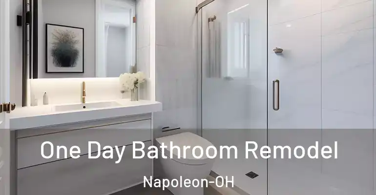 inner Bathroom imggen One Day Bathroom Remodel Napoleon-OH