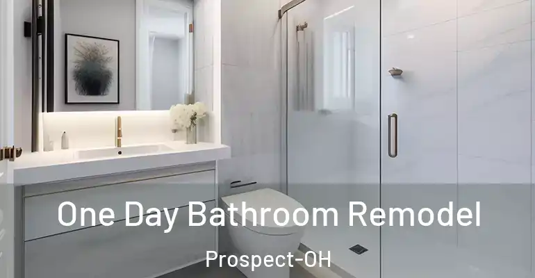 inner Bathroom imggen One Day Bathroom Remodel Prospect-OH
