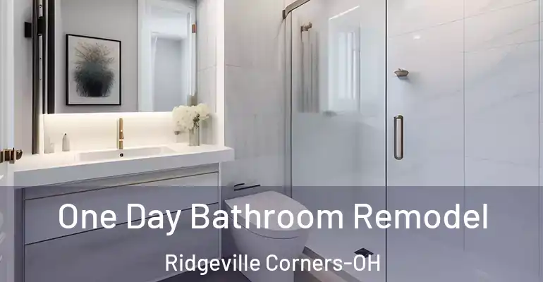 inner Bathroom imggen One Day Bathroom Remodel Ridgeville Corners-OH