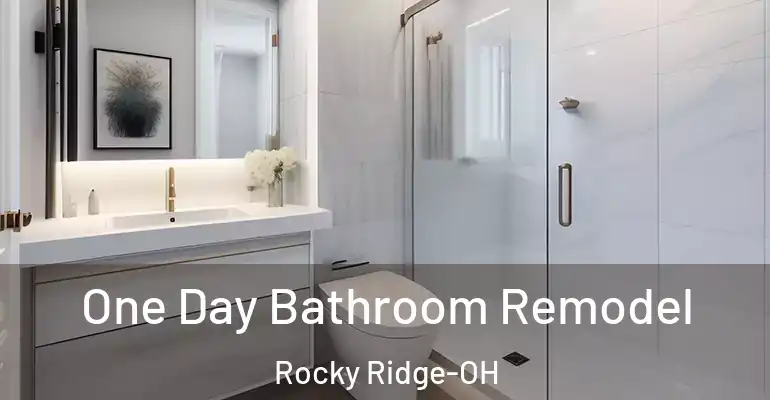 inner Bathroom imggen One Day Bathroom Remodel Rocky Ridge-OH