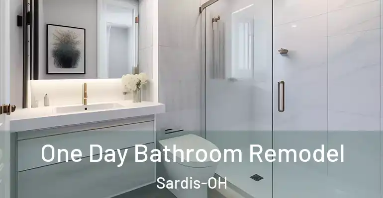 inner Bathroom imggen One Day Bathroom Remodel Sardis-OH