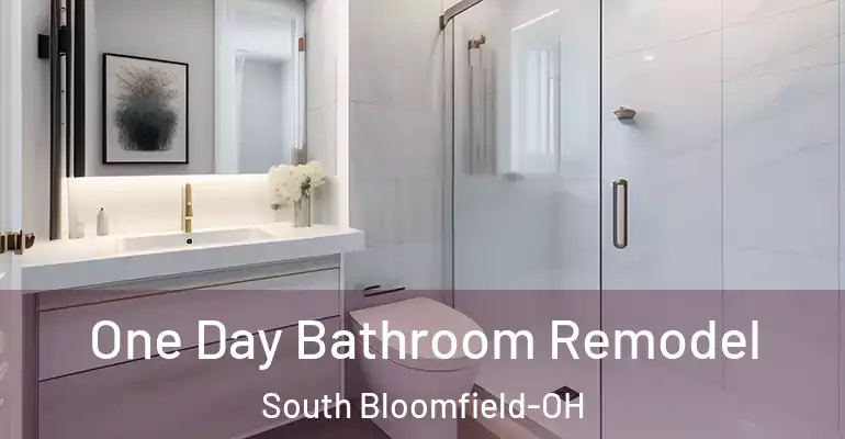 inner Bathroom imggen One Day Bathroom Remodel South Bloomfield-OH