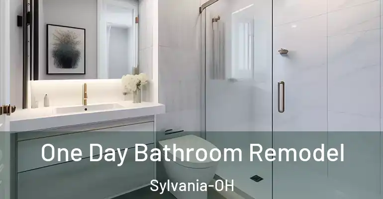 inner Bathroom imggen One Day Bathroom Remodel Sylvania-OH