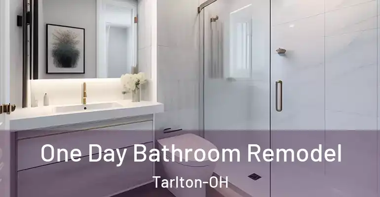 inner Bathroom imggen One Day Bathroom Remodel Tarlton-OH